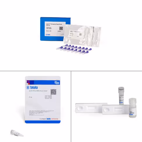 Systèmee d expression lenti-x (version ef1a) 1 Kit