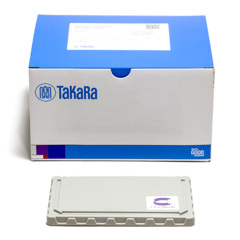 Billes magnétiques pour culture cellulaire 1 Kit