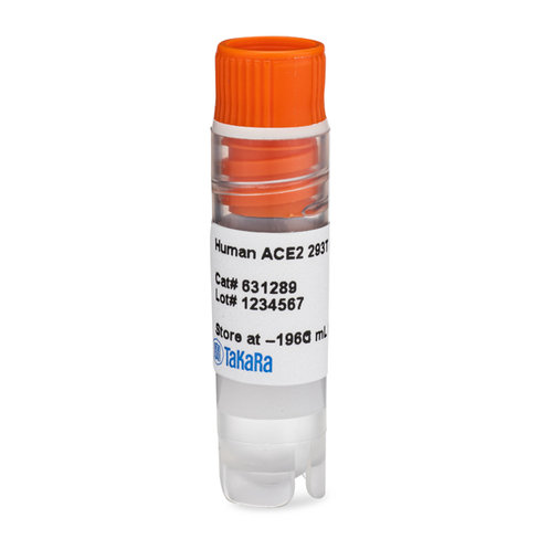 Human ace2 293t cell line 1 ml