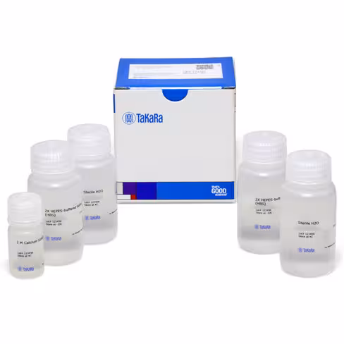 Kits de transfection au phosphate de calcium 1 Kit