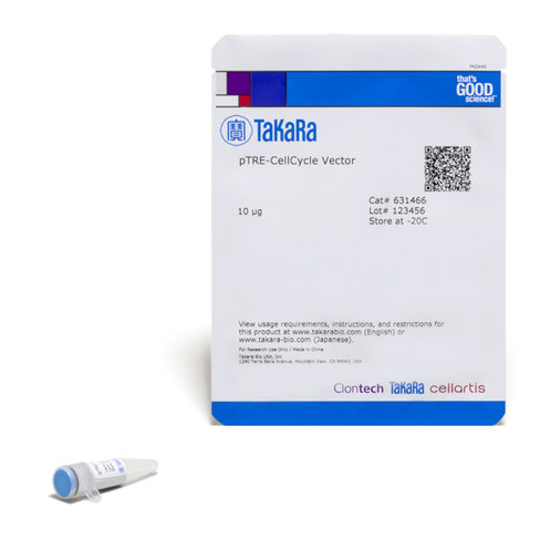 Plasmide ptre-cellcycle 10 µg