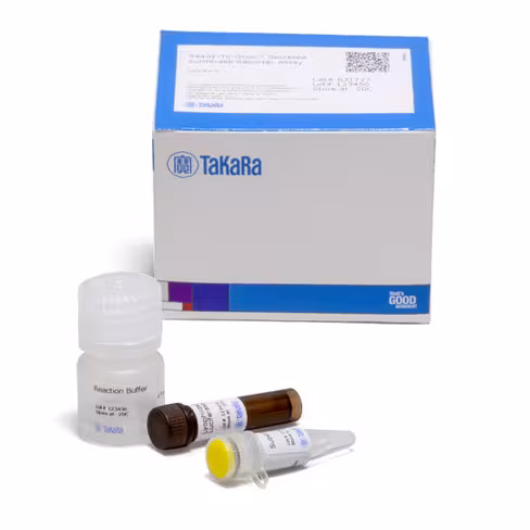 Ready-to-glow secreted luciferase reporter assay 500 Réactions