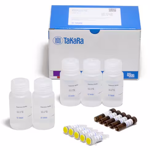 Kit ready-to-glow pour automatisation de la detection de la luciferase (5000 réactions) 5000 Réactions