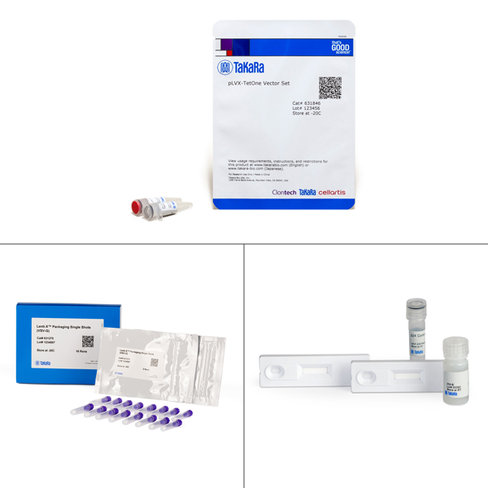 Lenti-x tet-one inducible expression system 1 Kit