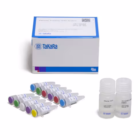 Systèmee de profilage de la voie seap 1 Kit