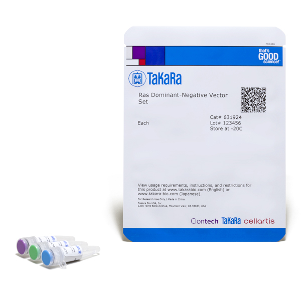 Plasmide ras dominant-negative 1 Kit