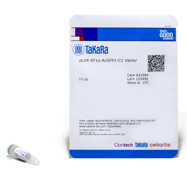 Plasmide plvx-ef1a-acgfp1-c1 10 µg