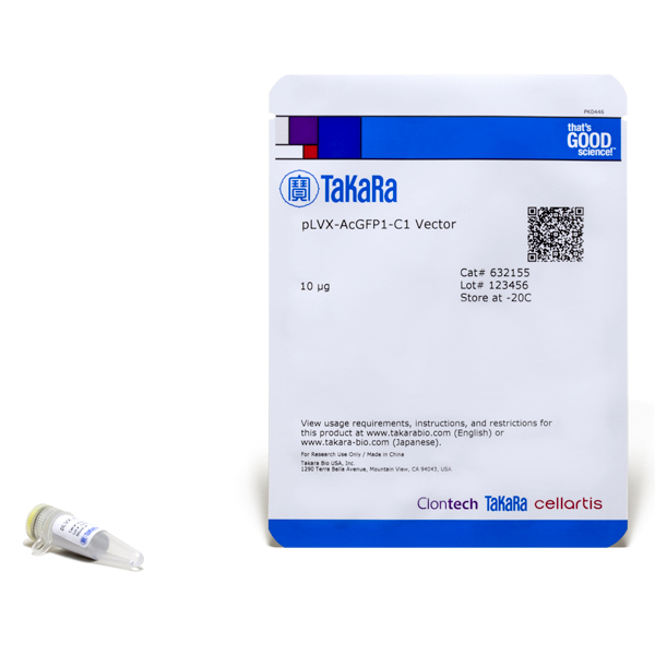 Plasmide plvx-acgfp1-c1 10 µg