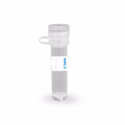 Lignée cellulaire lenti-x 293t 1 ml