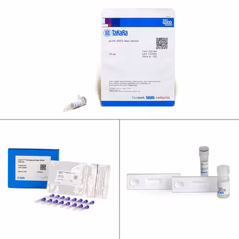 Systèmee d expression lenti-x bicistronique (neo 16 packaging rxns) 1 Kit