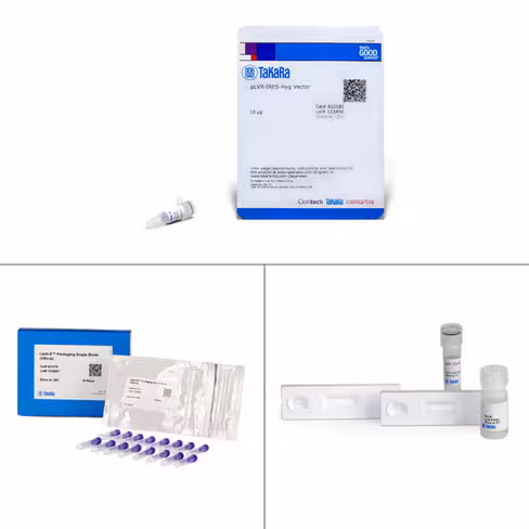 Systèmee d expression lenti-x bicistronique (hyg 16 packaging rxns) 1 Kit