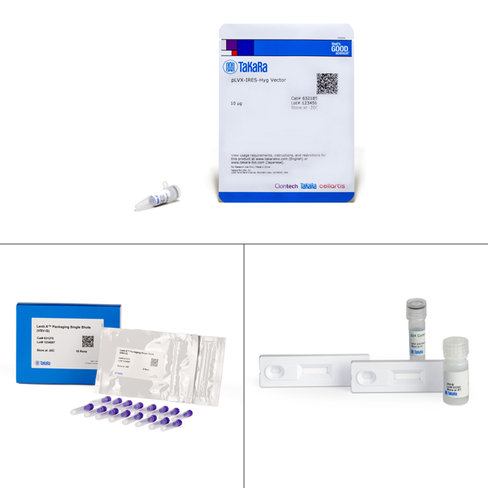 Systèmee d expression lenti-x bicistronique (hyg 16 packaging rxns) 1 Kit