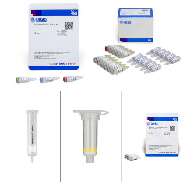 Vecteur adénoviral et systèmee d expression - adeno-x 10 Réactions