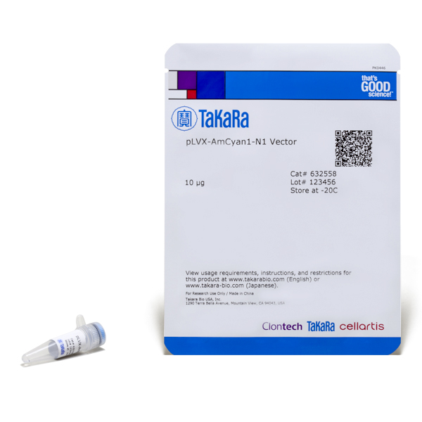 Plasmide plvx-amcyan1-n1 10 µg