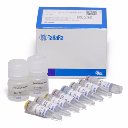 Guide-it sgrna screening kit 50 Réactions