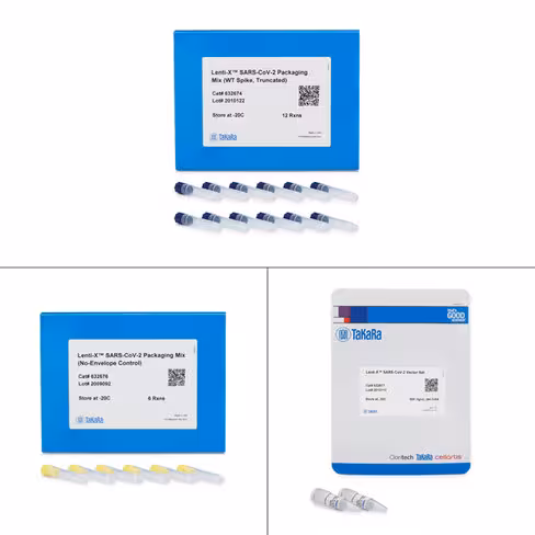 Solution d empaquetage lenti-x pseudovirus sars-cov-2 (wt spike tronqué) 12 Réactions