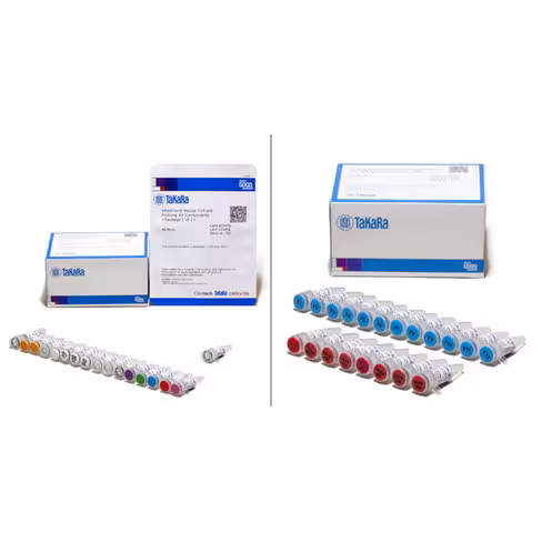 Kit smarter kit de profilage du répertoire des récepteurs des lymphocytes t (souris) 48 réactions