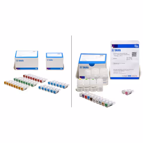 Kit smarter mouse bcr igg h/k/l profiling: kit de profilage du bcr basé sur la méthode race (souris) 96 Réactions