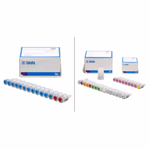 Kit smarter human sctcr a/b: kit de profilage des chaînes A/B du tcr humains en cellules uniques 96 Réactions