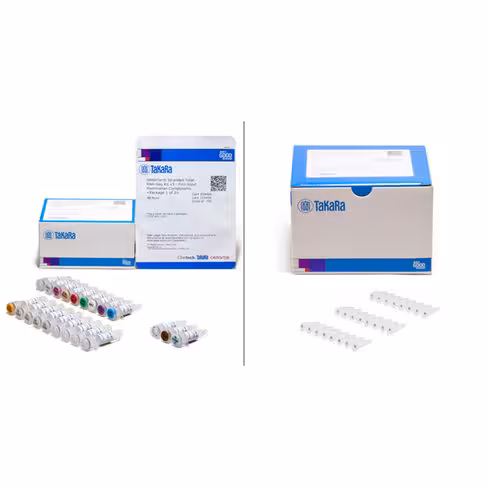 Smarter stranded total rna-seq kit v3 - pico input mammalian 48 Réactions