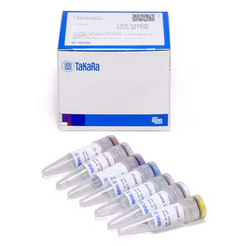 Kit d élimination de l arn ribosomal de mammifères (ribogone ) 6 Réactions