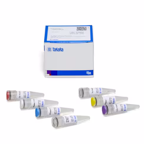 Kit d élimination de l arn ribosomal de mammifères (ribogone ) 24 Réactions