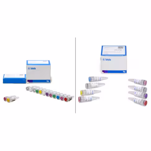 Smarter universal low input rna kit for sequencing 10 Réactions