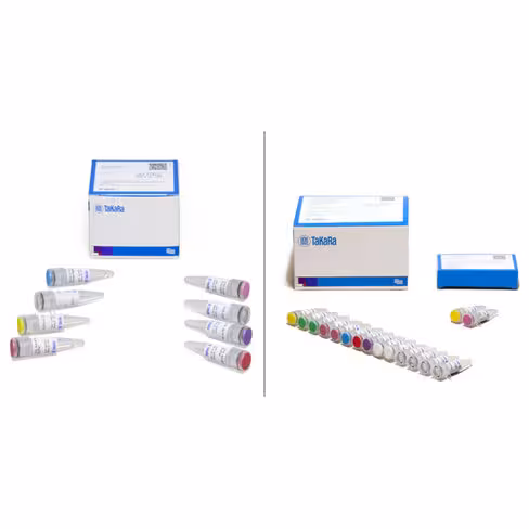 Smarter universal low input rna kit for sequencing 25 Réactions