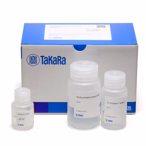 Billes magnétiques talon (avec tampon) 1 Kit