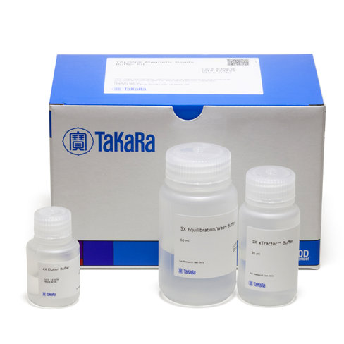 Billes magnétiques talon (avec tampon) 1 Kit