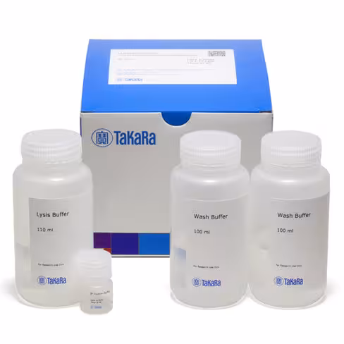 Ensemble de tampon pour immunoprécipitation de l étiquette flag (dykddddk) 50 Réactions