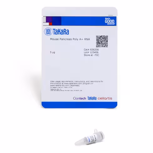 Arn polyadénylé - pancreas de souris 5 µg
