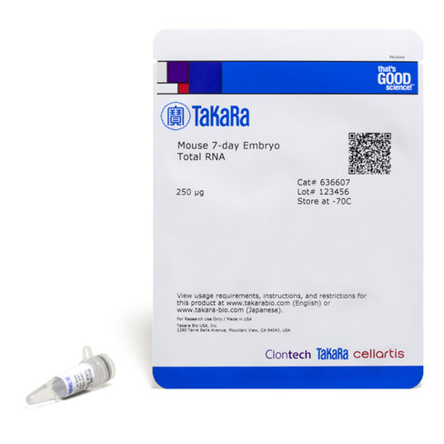 Arn total isolé à partir d embryon de souris de 7 jours 250 µg