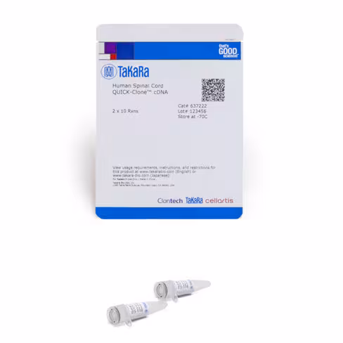 Adnc quick-clone - moelle epinière humaine 20 Réactions