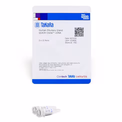 Adnc quick-clone - glande pituitaire humaine 20 Réactions