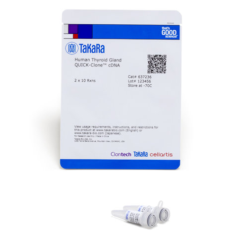 Adnc quick-clone - thyroïde humaine 20 Réactions