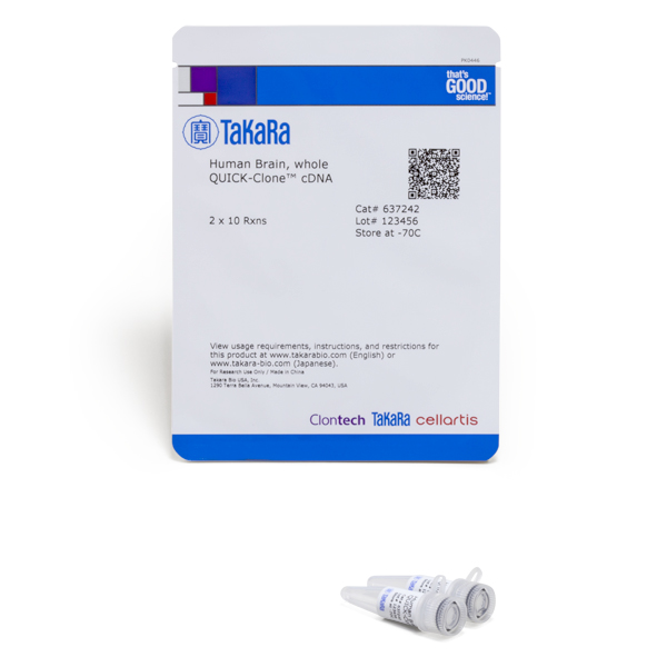 Adnc quick-clone - cerveau humain (entier) 20 Réactions