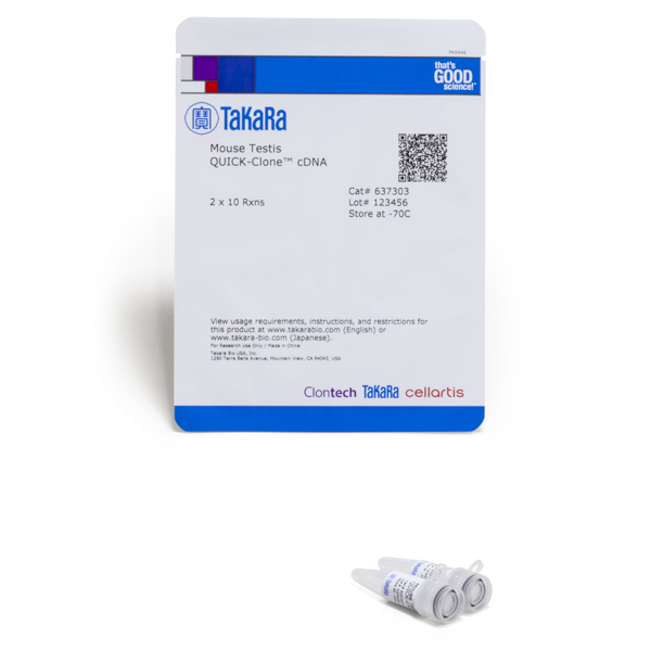 Adnc quick-clone - testicules de souris 20 Réactions
