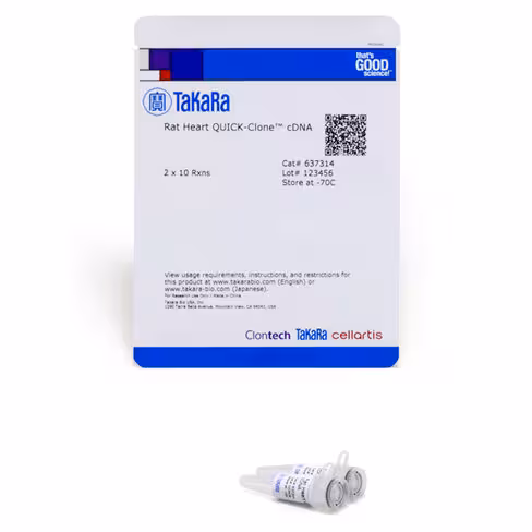 Adnc quick-clone - coeur de rat 20 Réactions