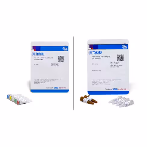 Kit de rt-qpcr pour mirna mir-x avec tbgreen 200 Réactions