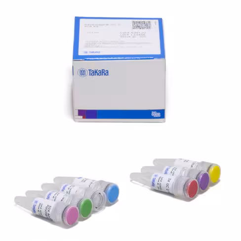 Kit de pcr advantage-gc 2 10 Réactions