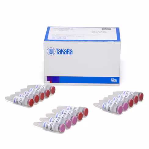 Adn polymérase advantage 2 500 Réactions
