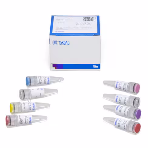Kit de pcr advantage 2 30 Réactions