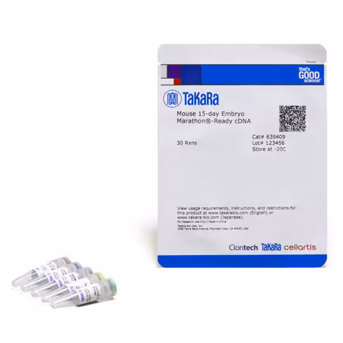 Adnc marathon-ready préparé à partir d embryon de souris (15 jours) e15 30 Réactions