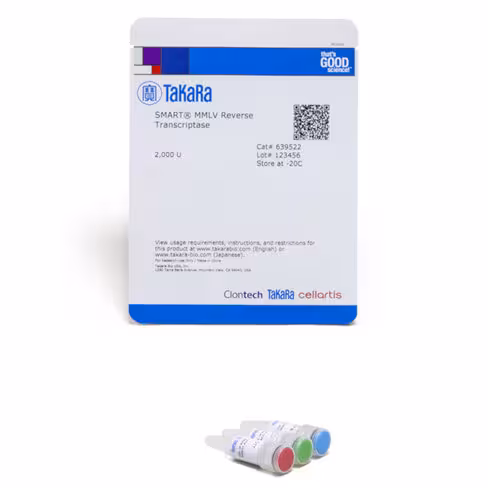 Transcriptase inverse smart mmlv 2000 unités