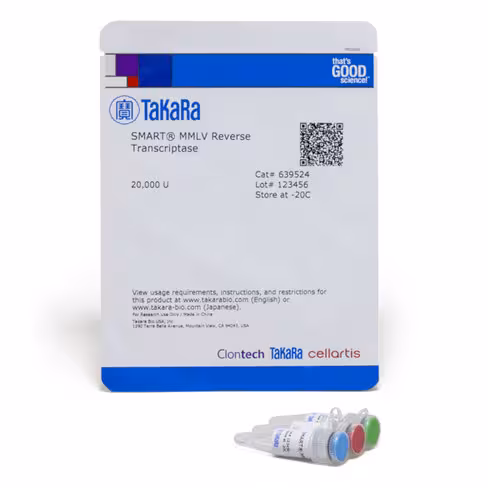 Transcriptase inverse smart mmlv 20000 unités