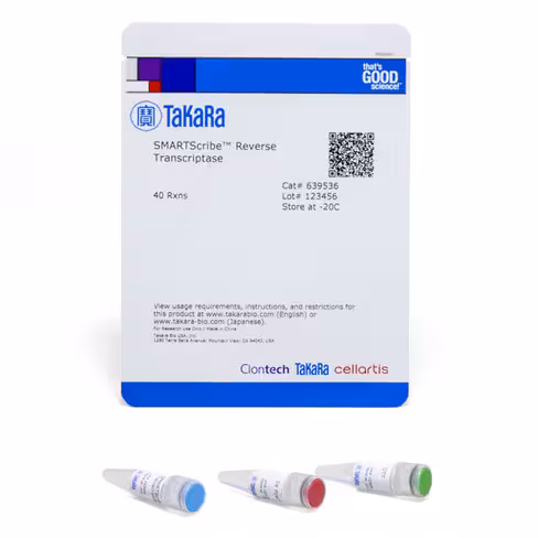 Transcriptase inverse smartscribe 40 Réactions