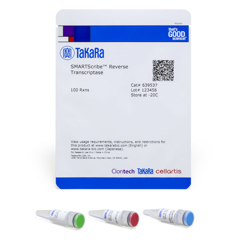 Transcriptase inverse smartscribe 100 Réactions