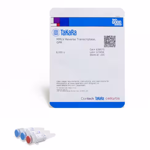 Transcriptase inverse mmlv (qualité gpr) (8000 unité) 8000 unités