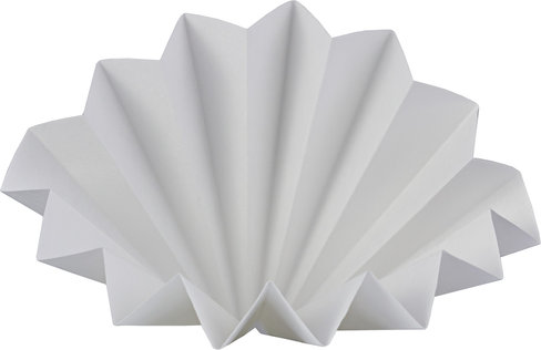 Filtre plissé Nucleobond x 50